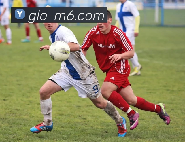 M17体育投注平台APP 体育赛事宣传图